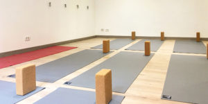 Insegnanti-Studyoga-Roma